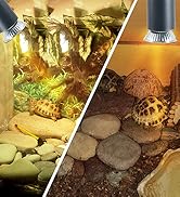 reptile light bulb