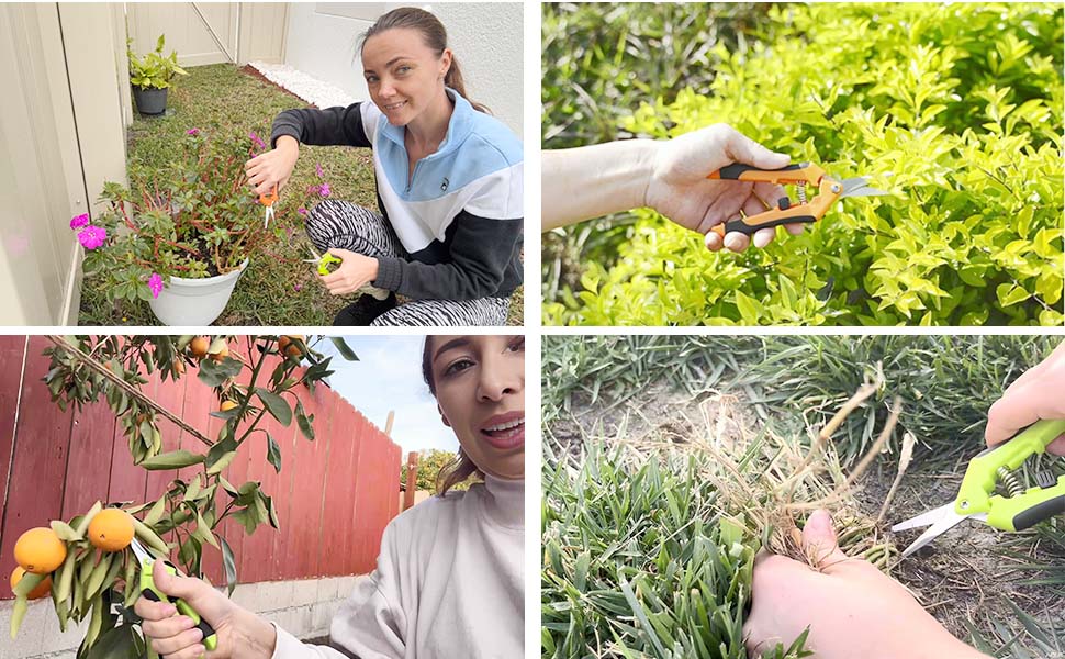 pruning shears