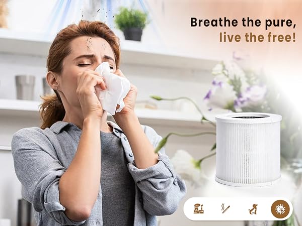 vendfo air purifier