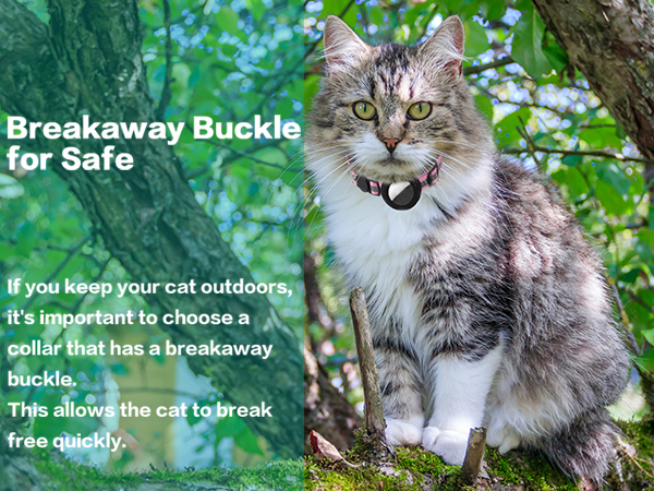 cat collar airtag