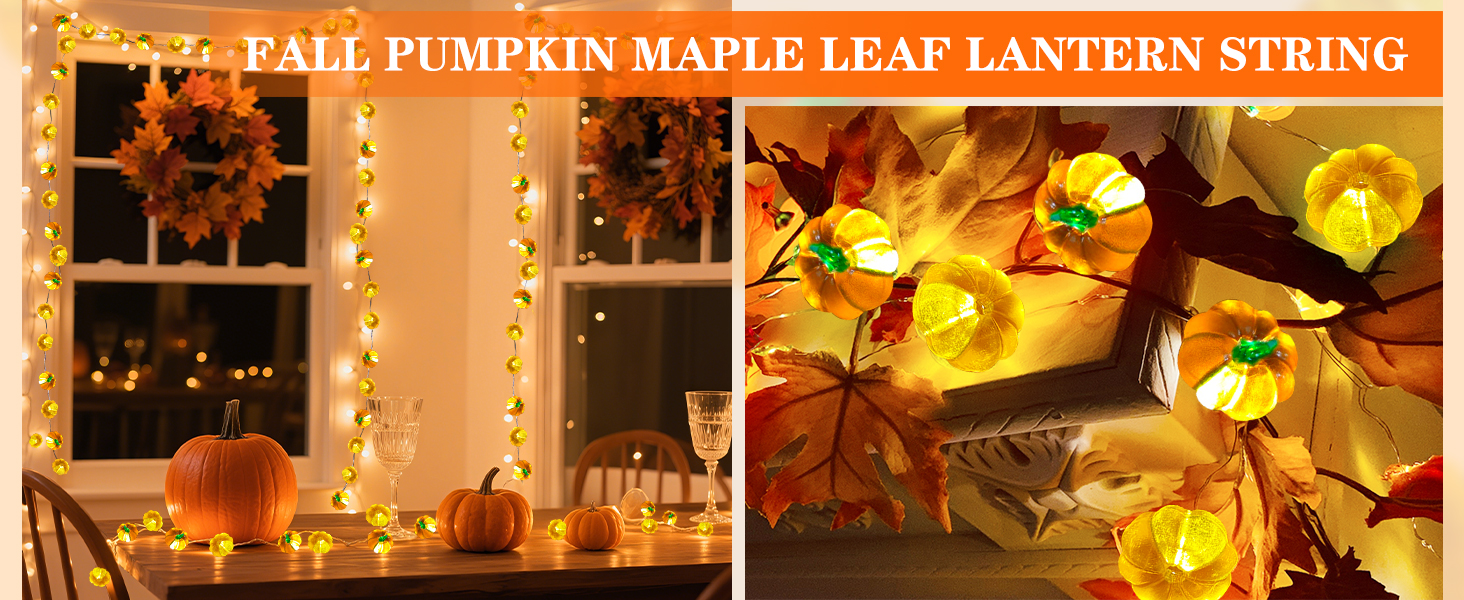 pumpkin lights-5
