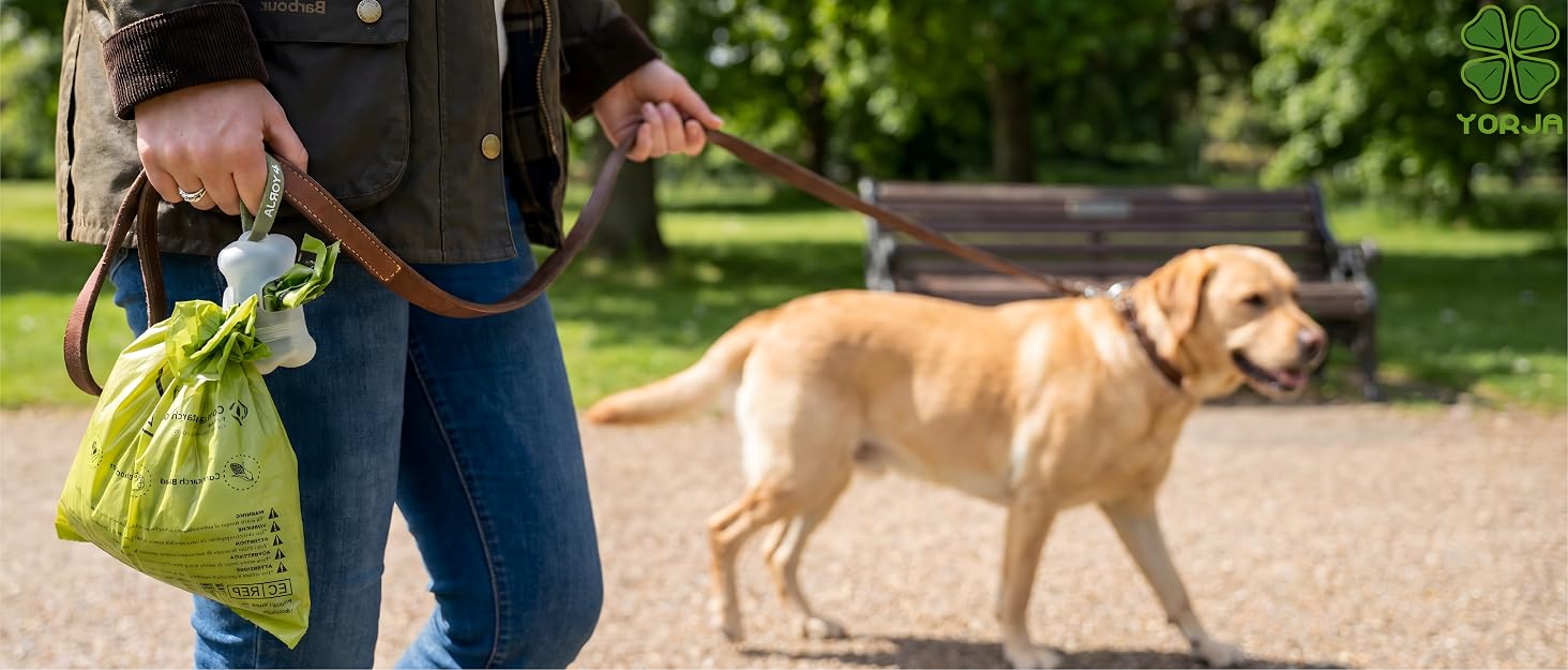 dog waste bag