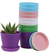 10 Pcs Plastic Planters Indoor Flower Plant Pots, Mini Flower Seedlings Nursery Pot/Planter/Flowe...