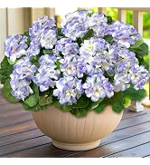 Artificial Geraniums Flowers for Outdoors Spring Decor, 4 Bundles UV Resistant Fake Geraniums Flo...