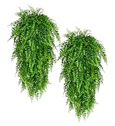 fake plants