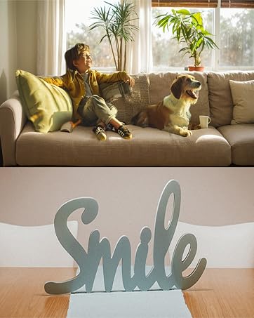 furniture protectors