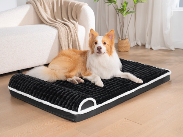 dog bed large sized dog