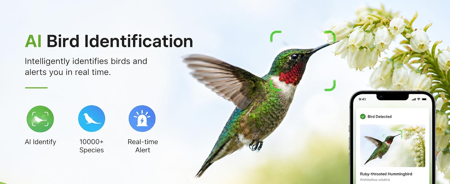 Bird Identification security camera