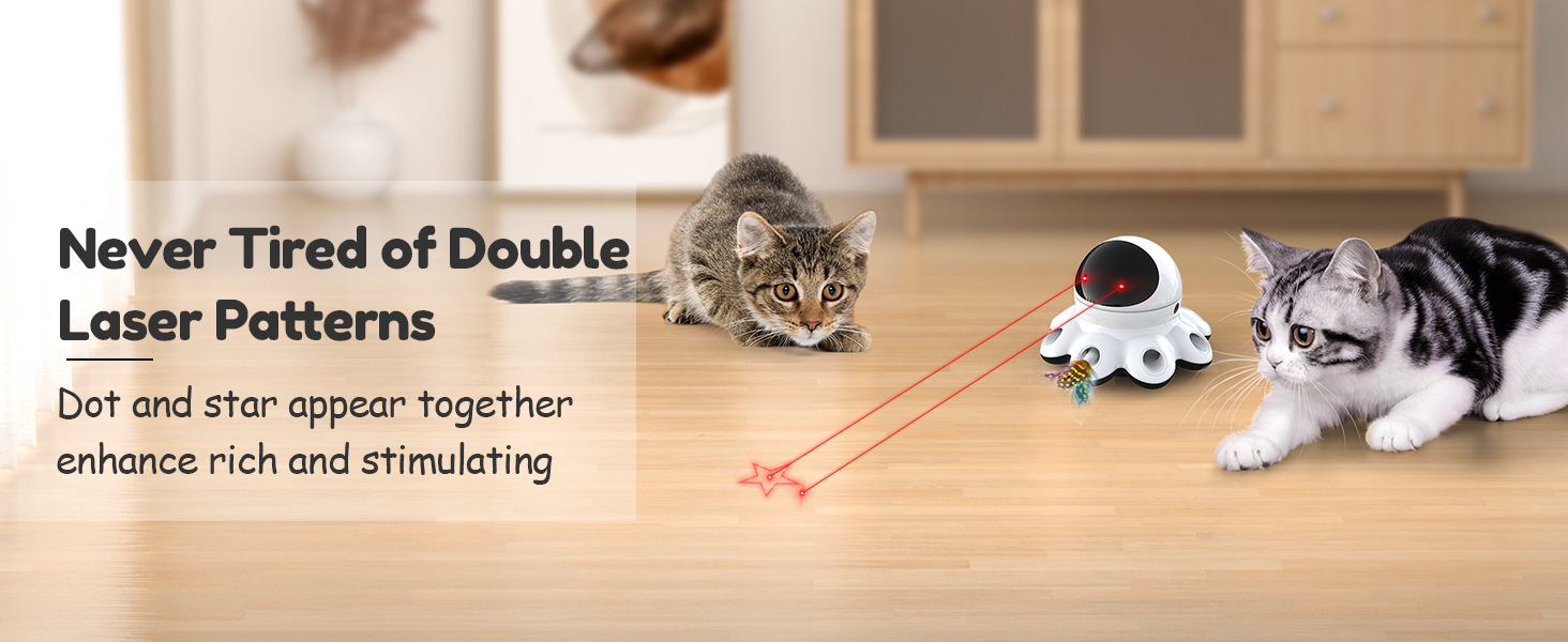 automatic cat toy