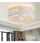 ZYD Caged Ceiling Fan with Light, 16.5" Rust White Bedroom Ceiling Fans, Caged Ceiling Fan with L...