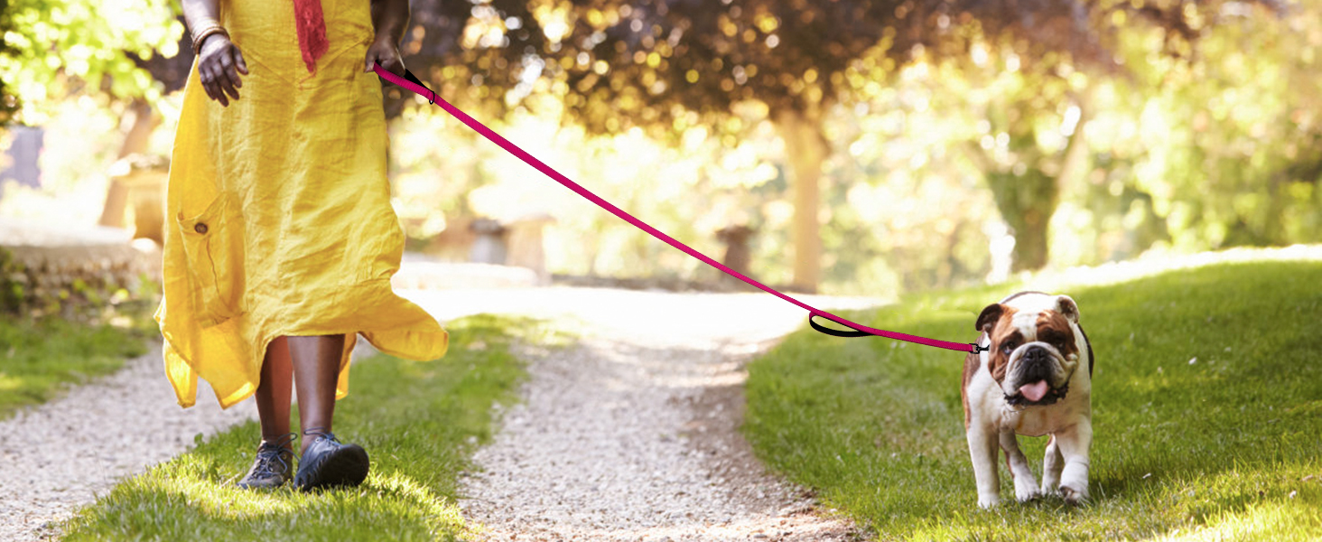 dog leash teal