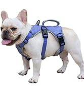 Escape Proof Dog Harness