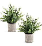 Coferset 2 Pack Small Fake Plants 14