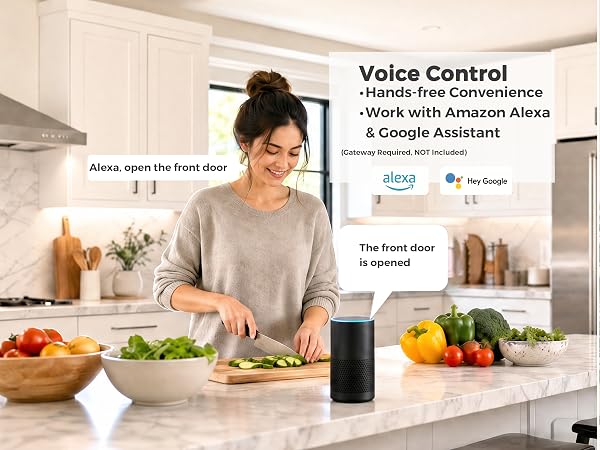 Voice Control with Alexa & Google Assistant
