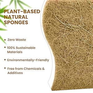 Plant-Based Natural Sponges