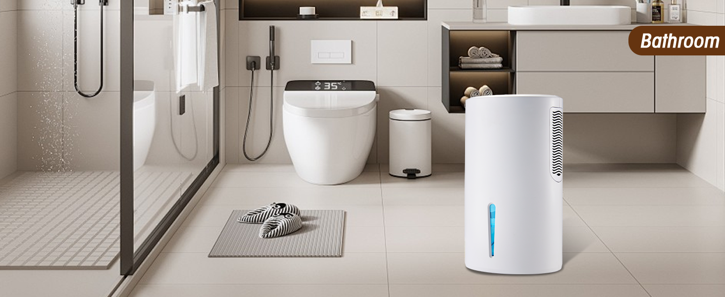 dehumidifier for basement