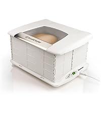 https://m.media-amazon.com/images/I/31C1%2BMtvOML.__AC_SR200,225___.jpg