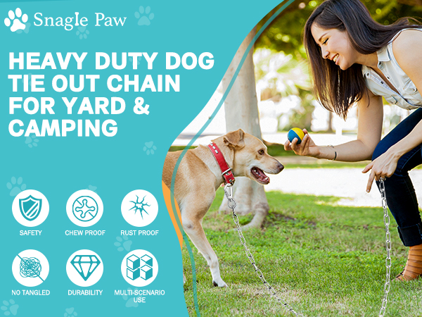 dog tree leash