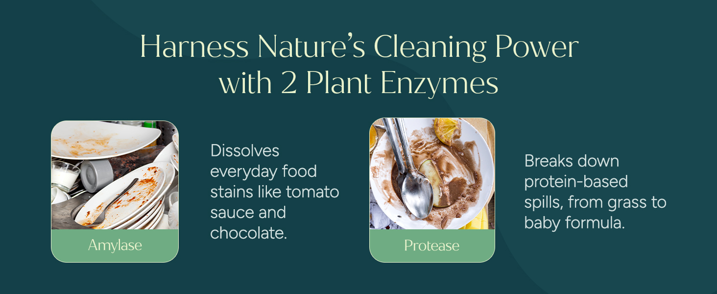 Enzyme dishwasher pods. Amylase and Protease dissolve food stains, sauce, and protein spills.