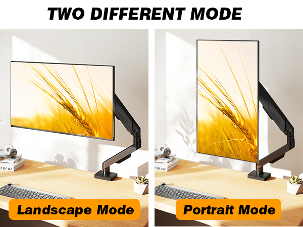 monitor arms