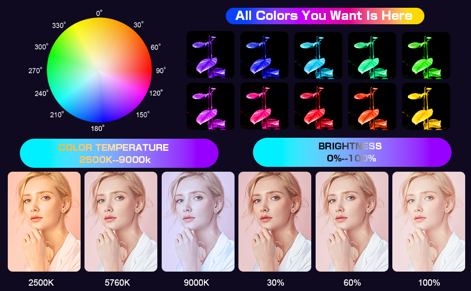 photography light