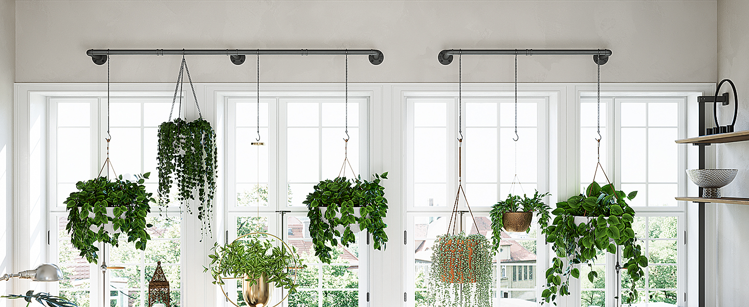 indoor plant hangers
