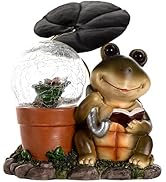 ASAMASA Solar Cactus Turtle Statue with LED Lights, Cute Turtle Figurines Resin Outdoor Decor for...