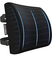 FORTEM Lumbar Support Office Chair, Lumbar Support Pillow for Car, Office Chair Back Support, Lum...