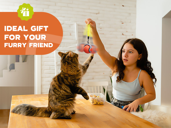 cat toy ball