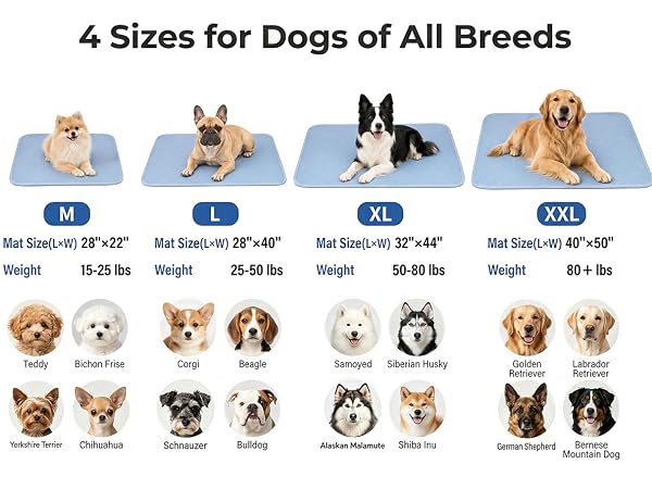cooling mat for dogs