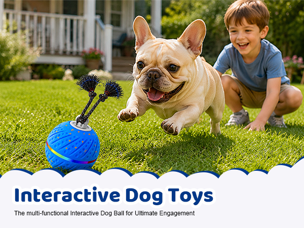 electronic dog toy dog interactive toys for boredom chase buddy interactive dog toy