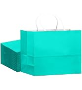 qiqee 24PCS Large Gift Bag with Handles Bulk 13