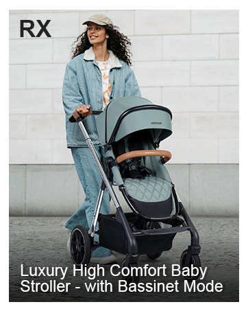 RX 2-in-1 Convertible Baby Stroller