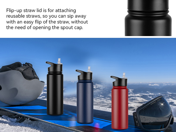 Insulated water bottle