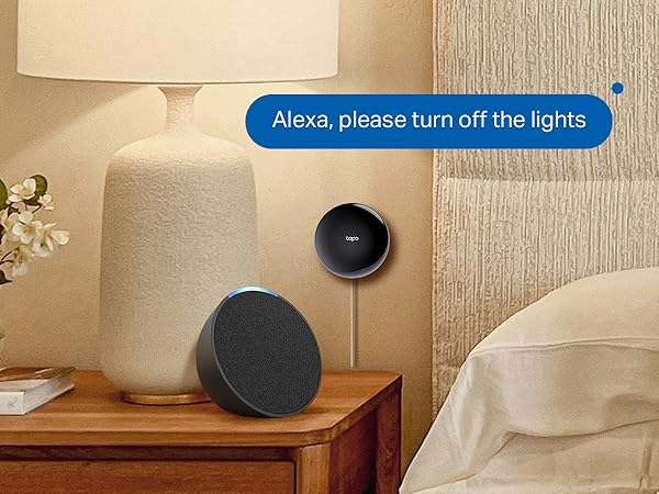 Hands-Free Voice Control