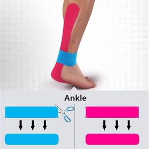 ankle
