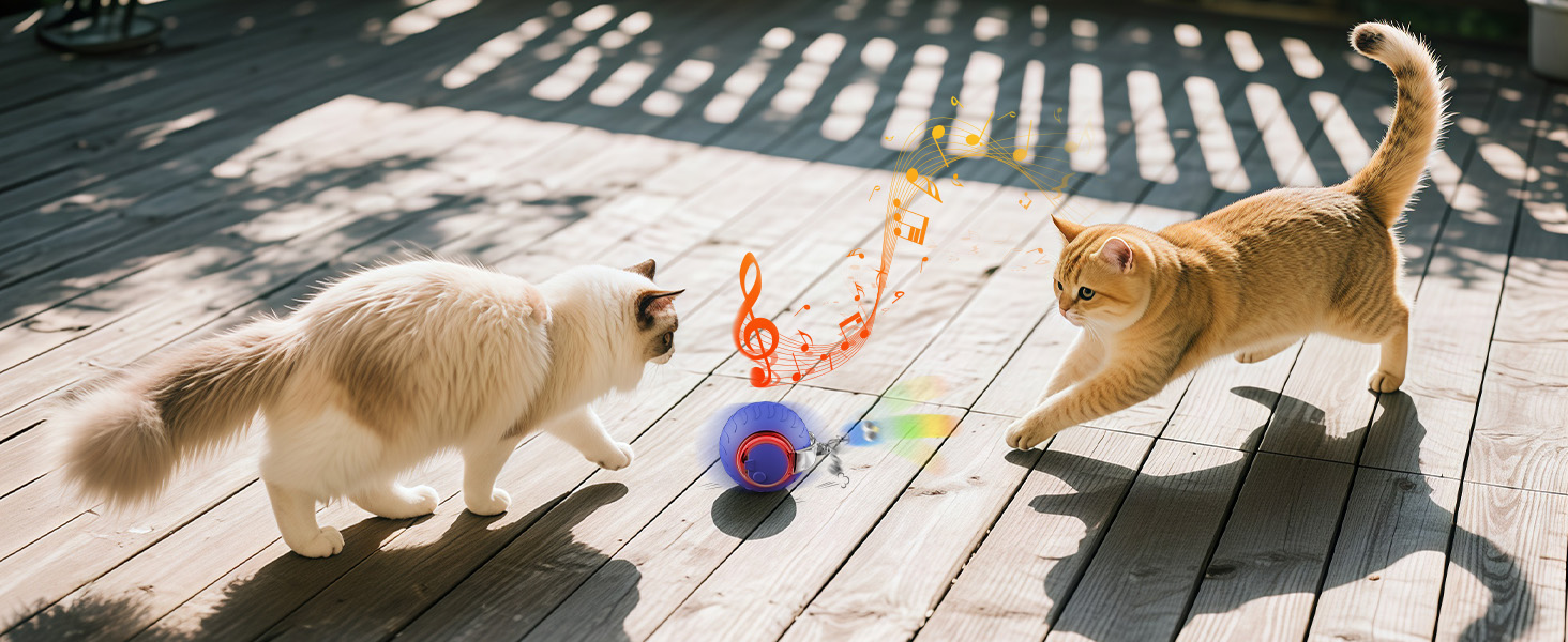 electric cat toy ball