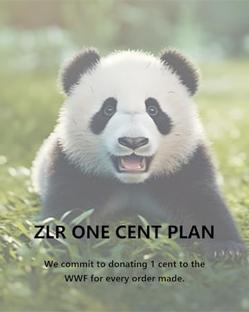 ZLR ONE CENT PLAN