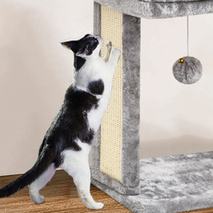 scratching board