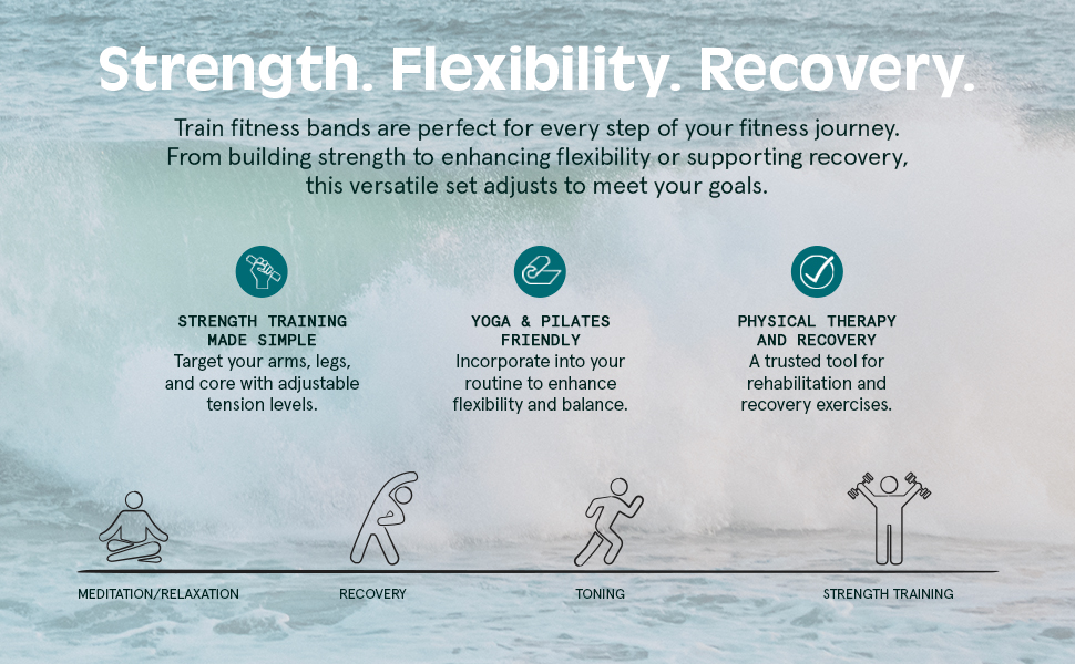 Retrospec Train Resistance Band Set for At Home Workouts
