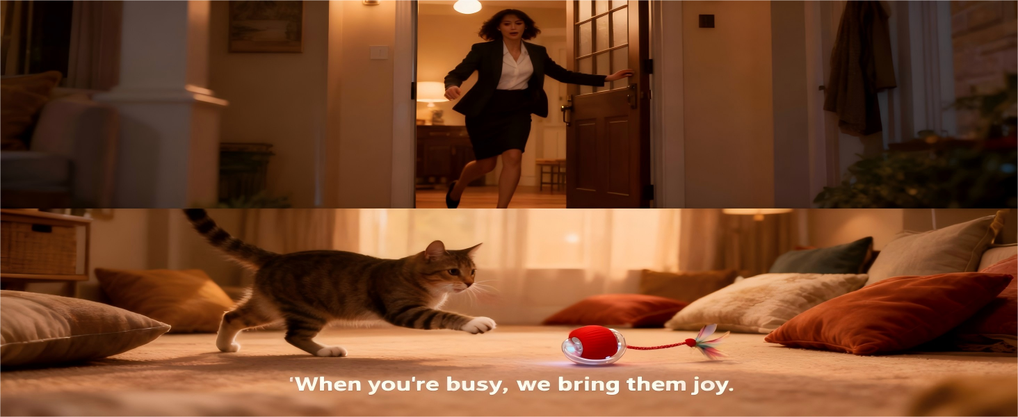 Split screen showing owner leaving for work and cat playing alone with automatic ball toy