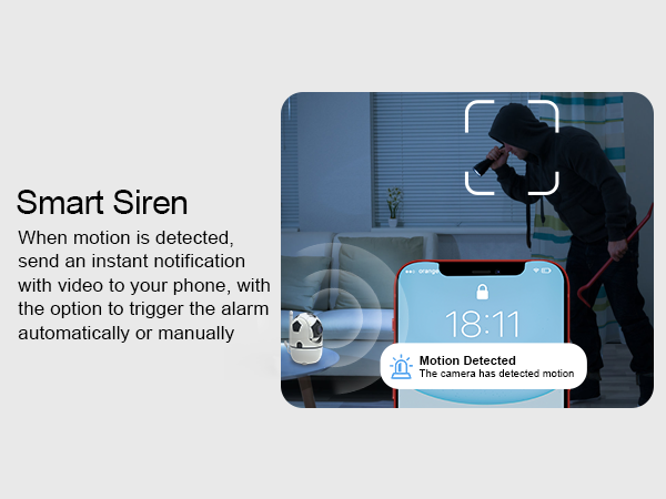 indoor camera wireless