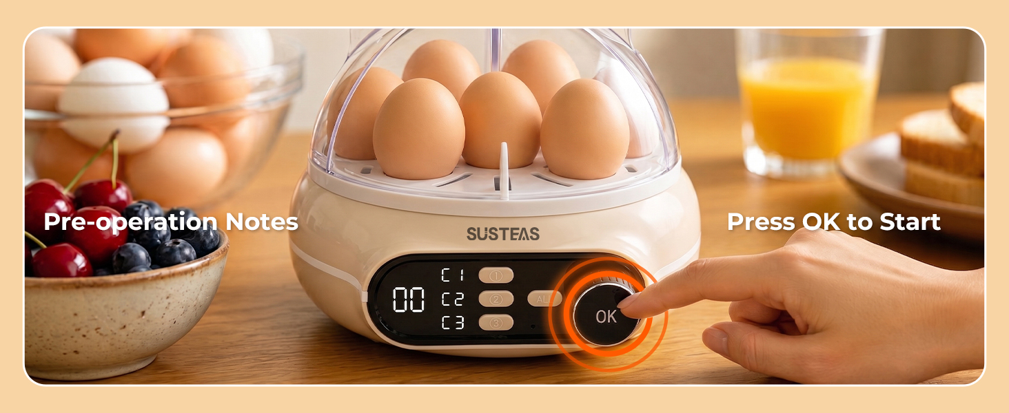 rapid egg cooker 6 egg capacity