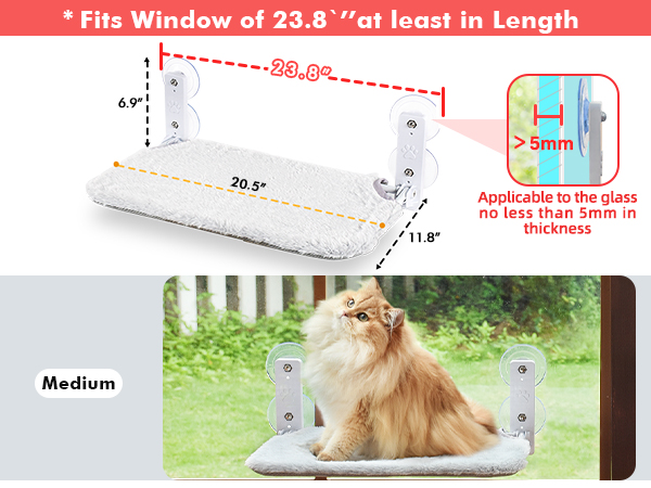 cat window perch