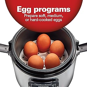 egg cooker