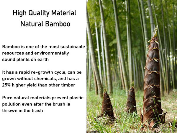bamboo wood hair brush