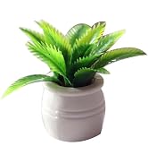 Miniature Dollhouse Plant, Green Potted Flower Model, DIY Accessories, Shooting Props