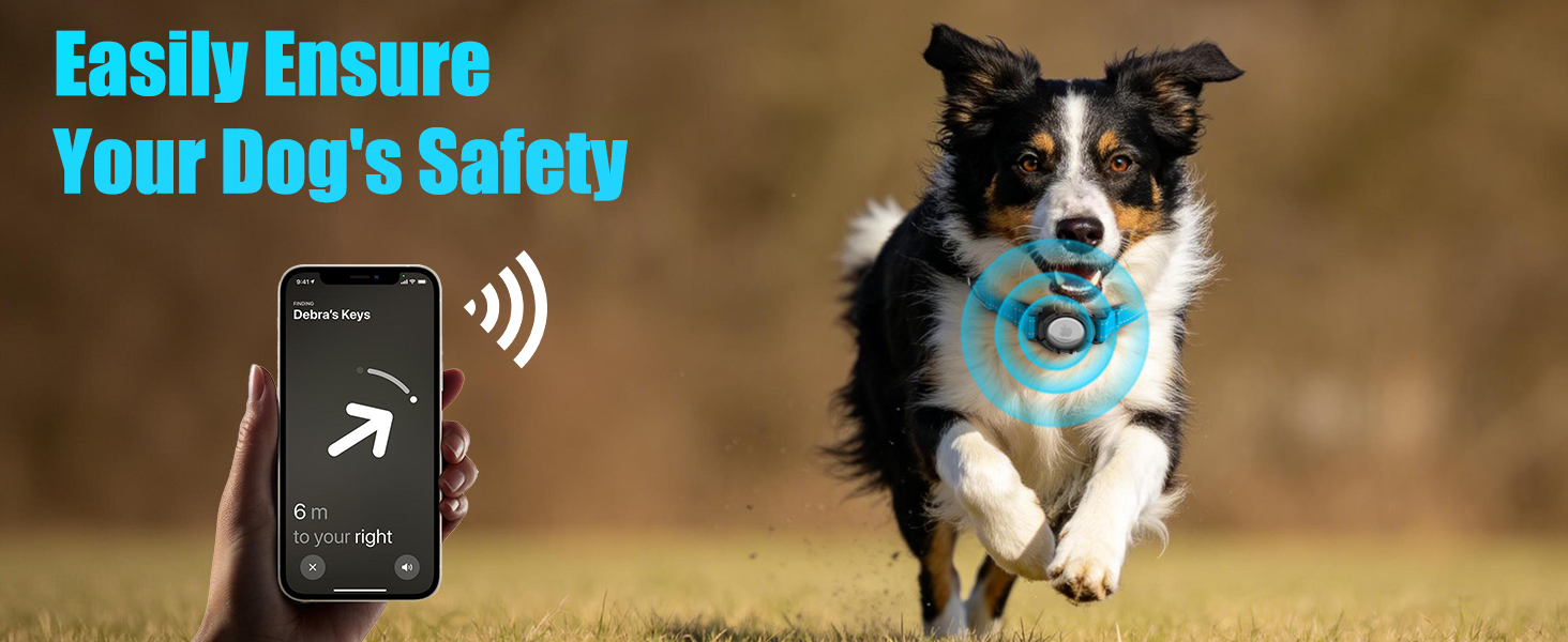 air tag dog collars