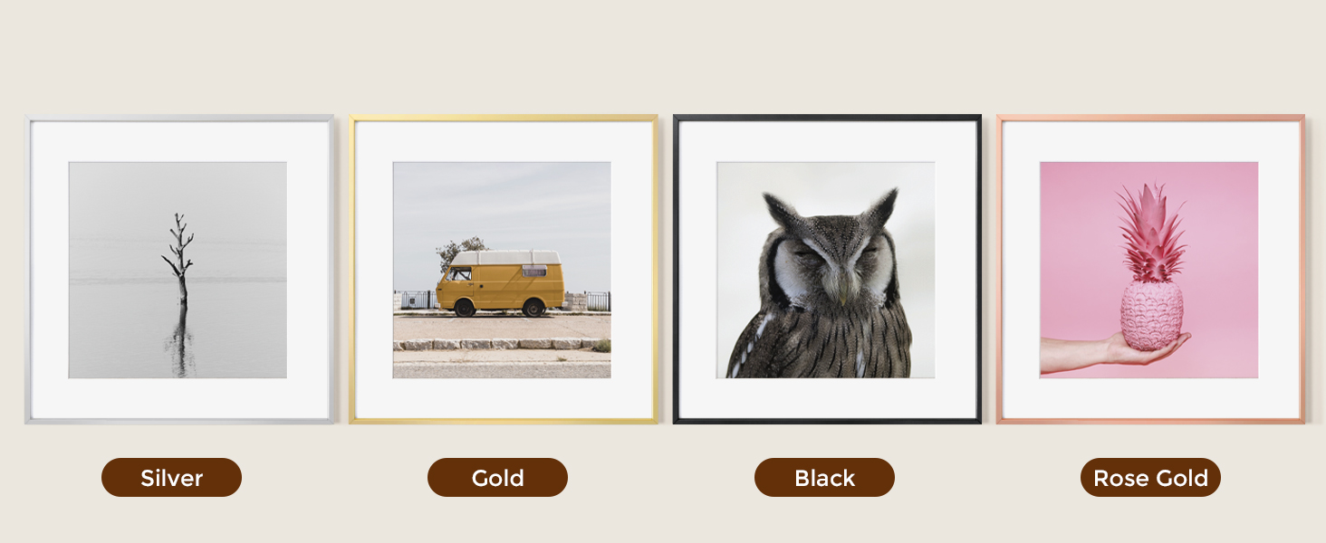 16x16 frame