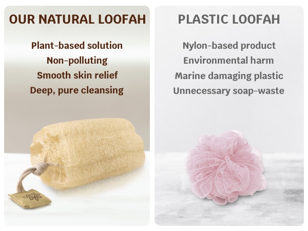 Loofah Sponge